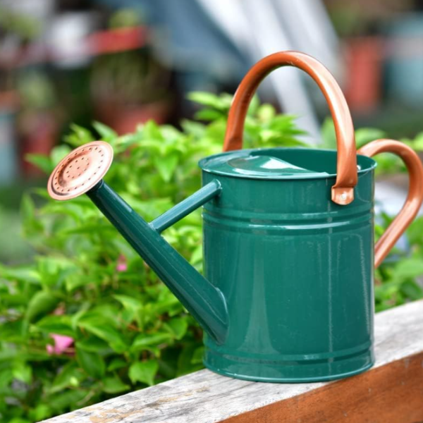 Green long spout metal watering can