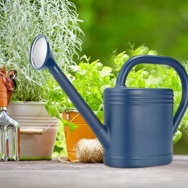 Long spout plant watering can with a sprinkler head