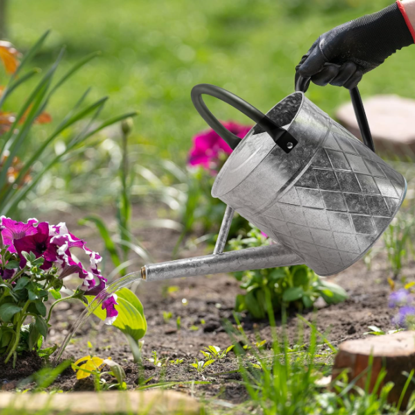 Vintage style galvanized metal gardening watering can