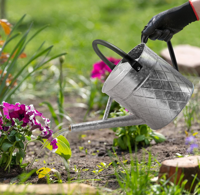Vintage style galvanized metal gardening watering can