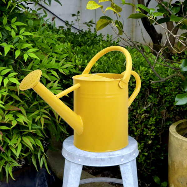 Metal watering can with a detachable spout