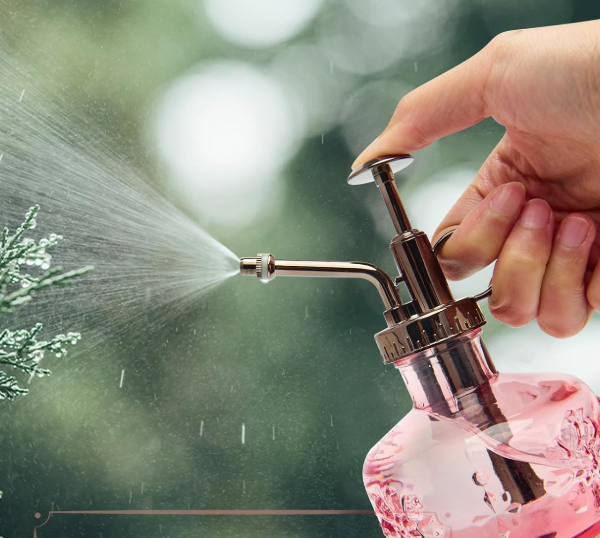 Pink glass spray bottle for plant care