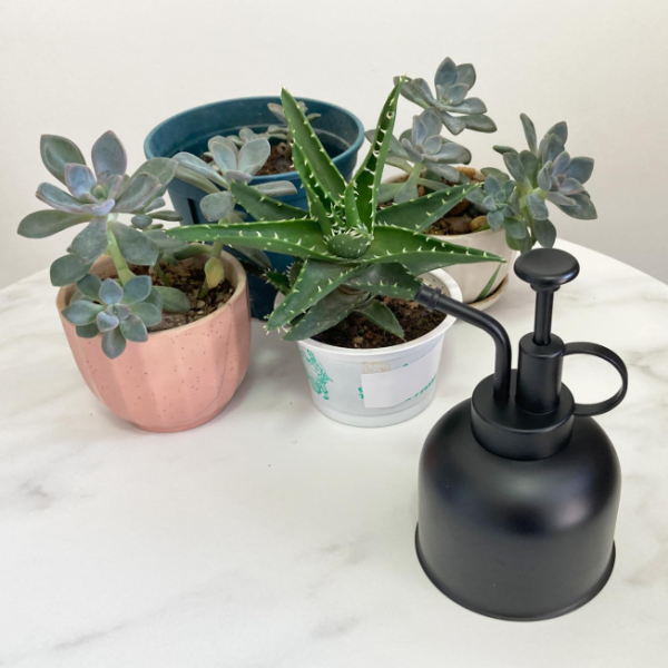 Mini stainless steel gardening watering/spray bottle