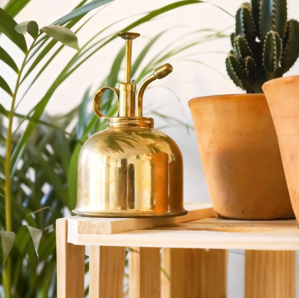Vintage style brass indoor plant mister