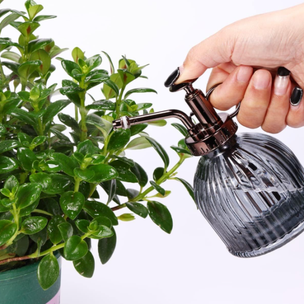 Green glass plant mister with a gold colored pump head