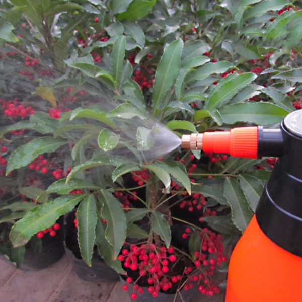Manual press gardening sprayer with an adjustable nozzle