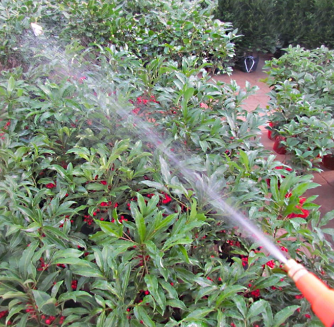 Manual press gardening sprayer with an adjustable nozzle Image 2