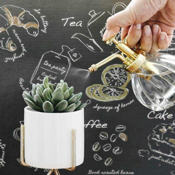 Gold accented fine mist glass plant mister