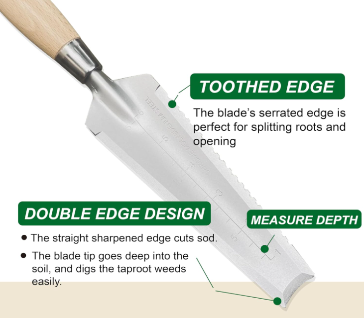 Alloy steel weeding and transplanting knife with a serrated edge, for cutting roots and digging Image 2