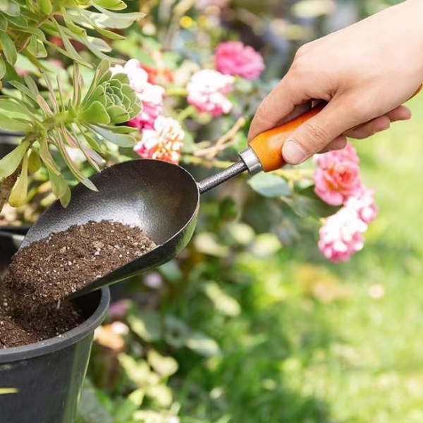 Stainless steel gardening trowel with a wooden handle, for planting and transplanting flowers and vegetables