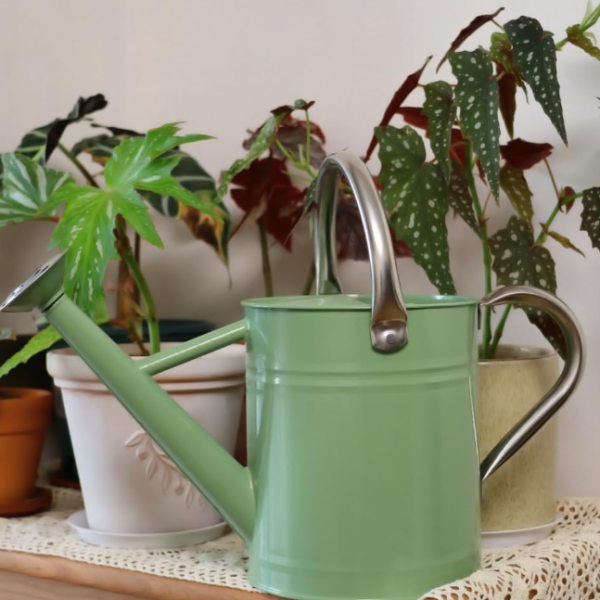 Metal gardening watering can for outdoor use
