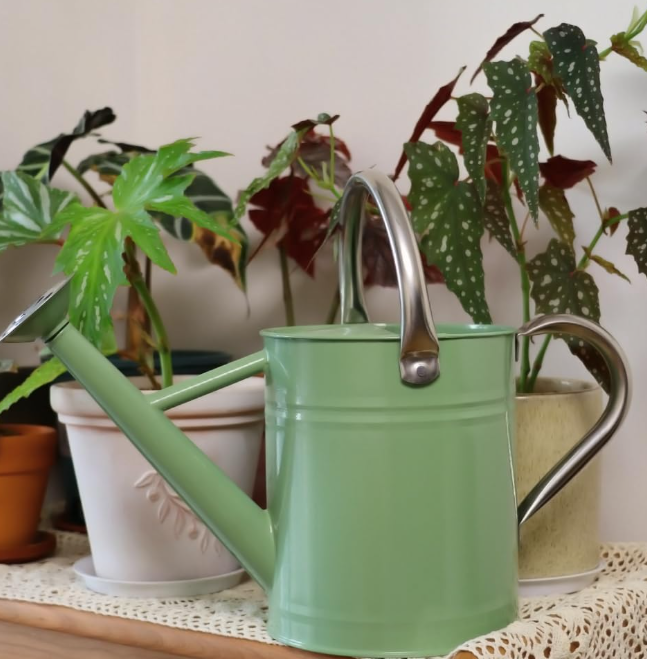 Metal gardening watering can for outdoor use