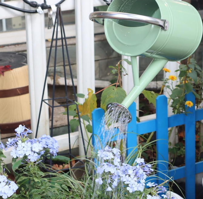 Metal gardening watering can for outdoor use Image 2