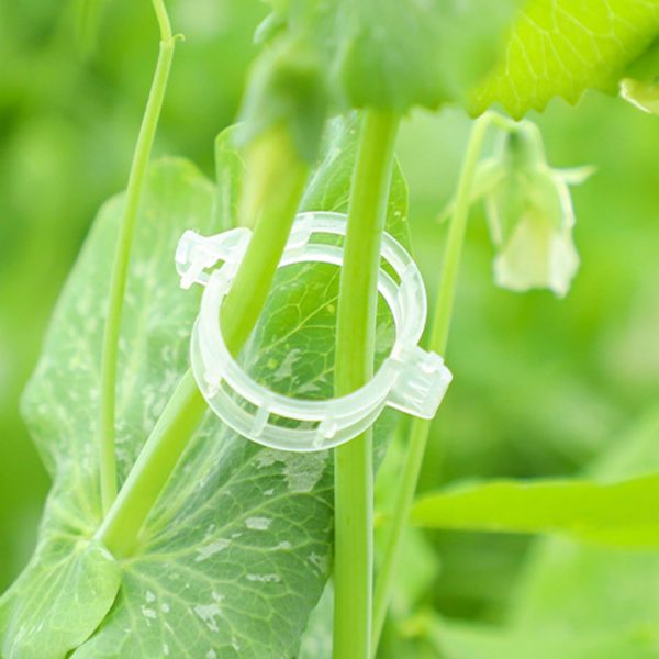 100 piece set of white plastic clips for supporting climbing plants and vegetables