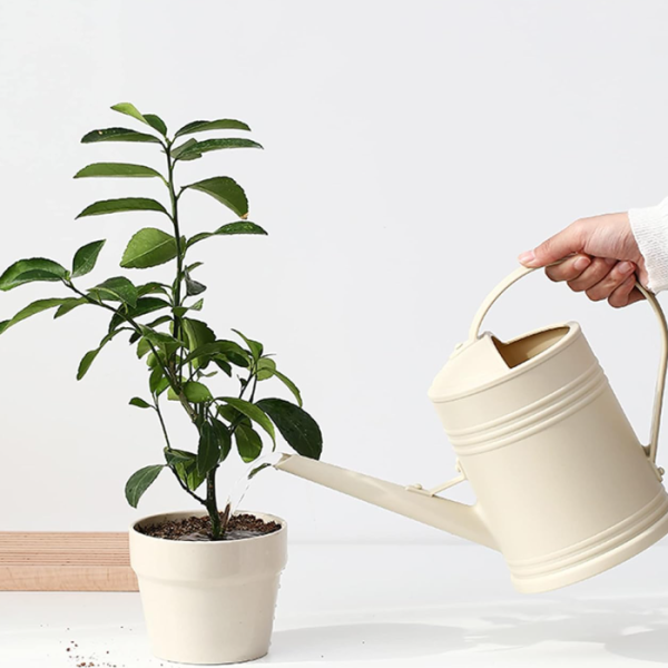 Indoor plastic watering can with a sprinkler head