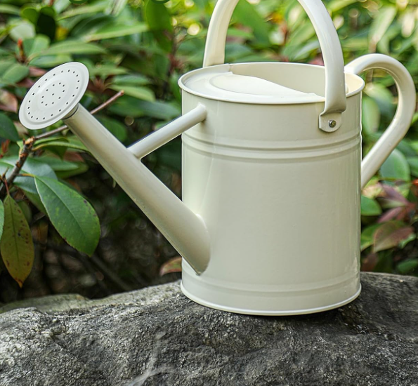 Galvanized steel gardening watering can